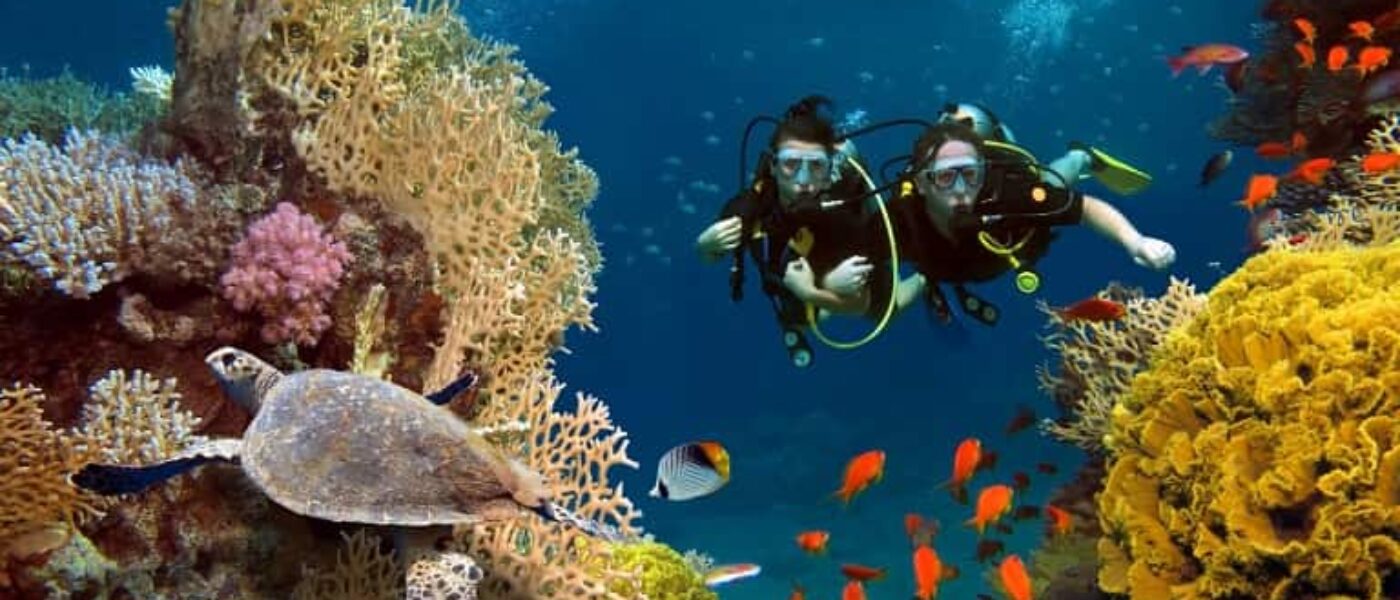 marine-life-andamans 8 Nights 9 Days