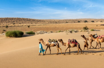 Rajasthan Packages